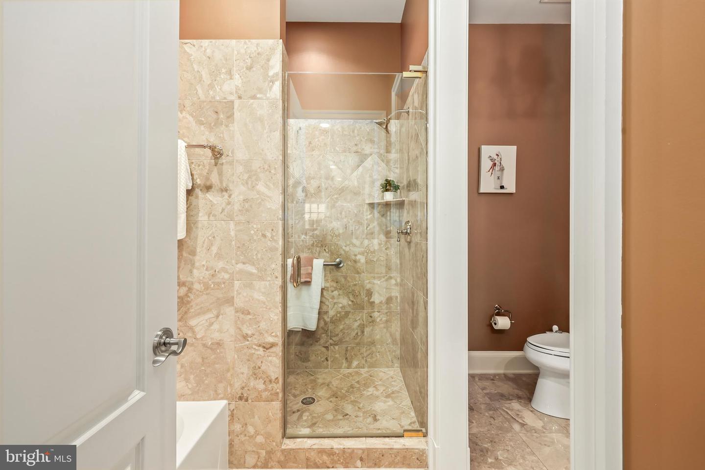 8340 SPRINGHAVEN GARDEN LN, MCLEAN, Virginia 22102, 5 Bedrooms Bedrooms, ,6 BathroomsBathrooms,Residential,For sale,8340 SPRINGHAVEN GARDEN LN,VAFX2280246 MLS # VAFX2280246