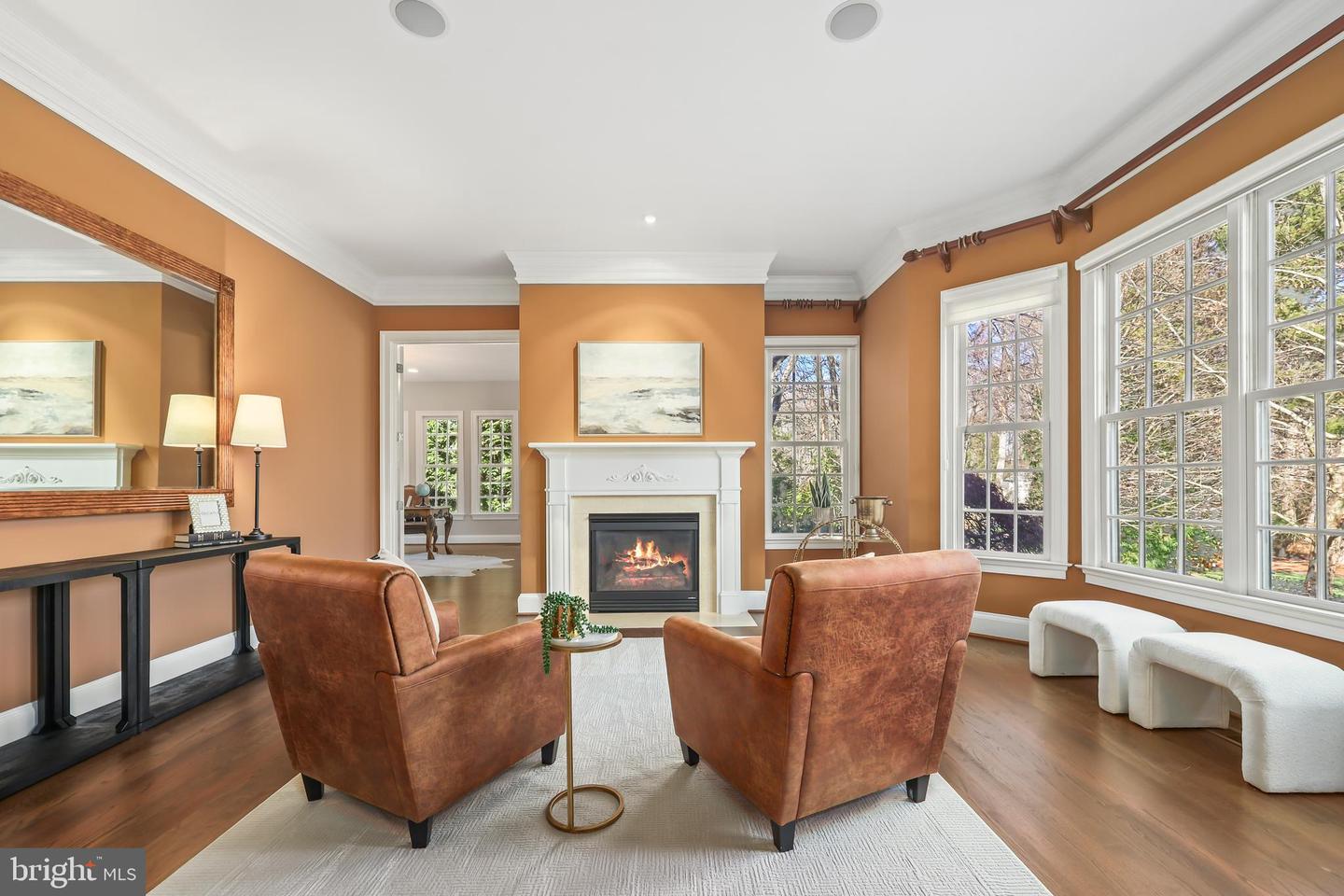 8340 SPRINGHAVEN GARDEN LN, MCLEAN, Virginia 22102, 5 Bedrooms Bedrooms, ,6 BathroomsBathrooms,Residential,For sale,8340 SPRINGHAVEN GARDEN LN,VAFX2280246 MLS # VAFX2280246