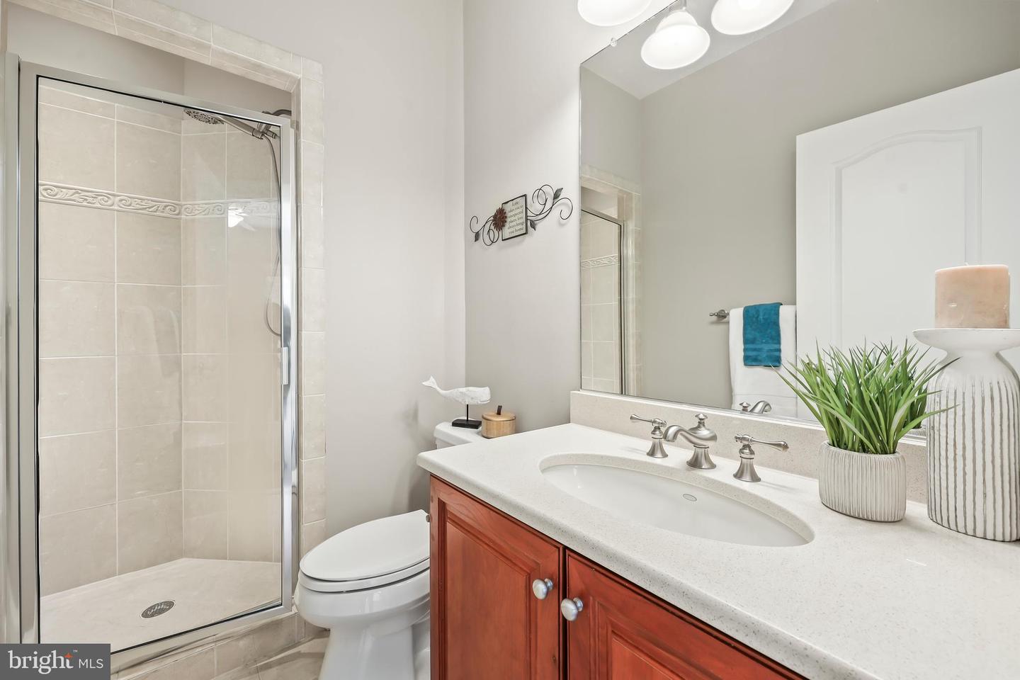 8340 SPRINGHAVEN GARDEN LN, MCLEAN, Virginia 22102, 5 Bedrooms Bedrooms, ,6 BathroomsBathrooms,Residential,For sale,8340 SPRINGHAVEN GARDEN LN,VAFX2280246 MLS # VAFX2280246