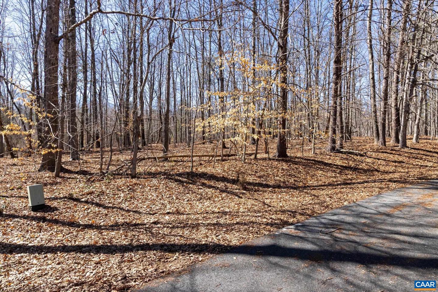 290 MERION DR, GORDONSVILLE, Virginia 22942, ,Land,For sale,290 MERION DR,671625 MLS # 671625 290 MERION DR, GORDONSVILLE, Virginia 22942, ,Land,For sale,290 MERION DR,671625 MLS # 671625