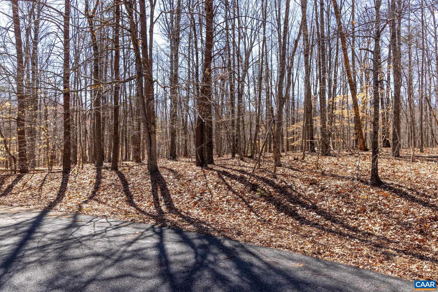 290 MERION DR, GORDONSVILLE, Virginia 22942, ,Land,For sale,290 MERION DR,671625 MLS # 671625 290 MERION DR, GORDONSVILLE, Virginia 22942, ,Land,For sale,290 MERION DR,671625 MLS # 671625