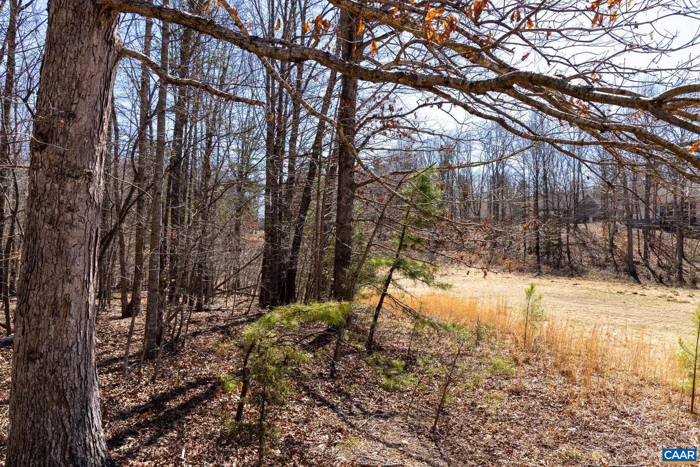 290 MERION DR, GORDONSVILLE, Virginia 22942, ,Land,For sale,290 MERION DR,671625 MLS # 671625 290 MERION DR, GORDONSVILLE, Virginia 22942, ,Land,For sale,290 MERION DR,671625 MLS # 671625