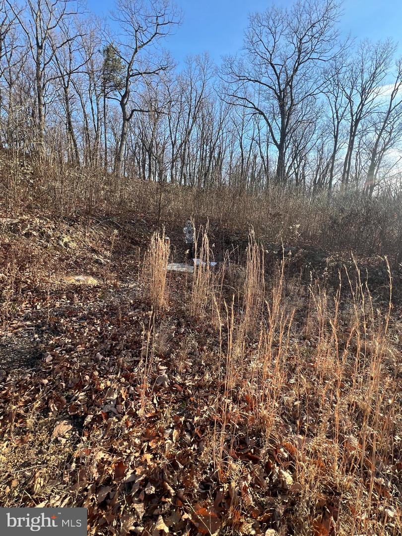 92 BOBCAT TRAIL, WINCHESTER, Virginia 22602, ,Farm,For sale,92 BOBCAT TRAIL,VAFV2038326 MLS # VAFV2038326 92 BOBCAT TRAIL, WINCHESTER, Virginia 22602, ,Farm,For sale,92 BOBCAT TRAIL,VAFV2038326 MLS # VAFV2038326