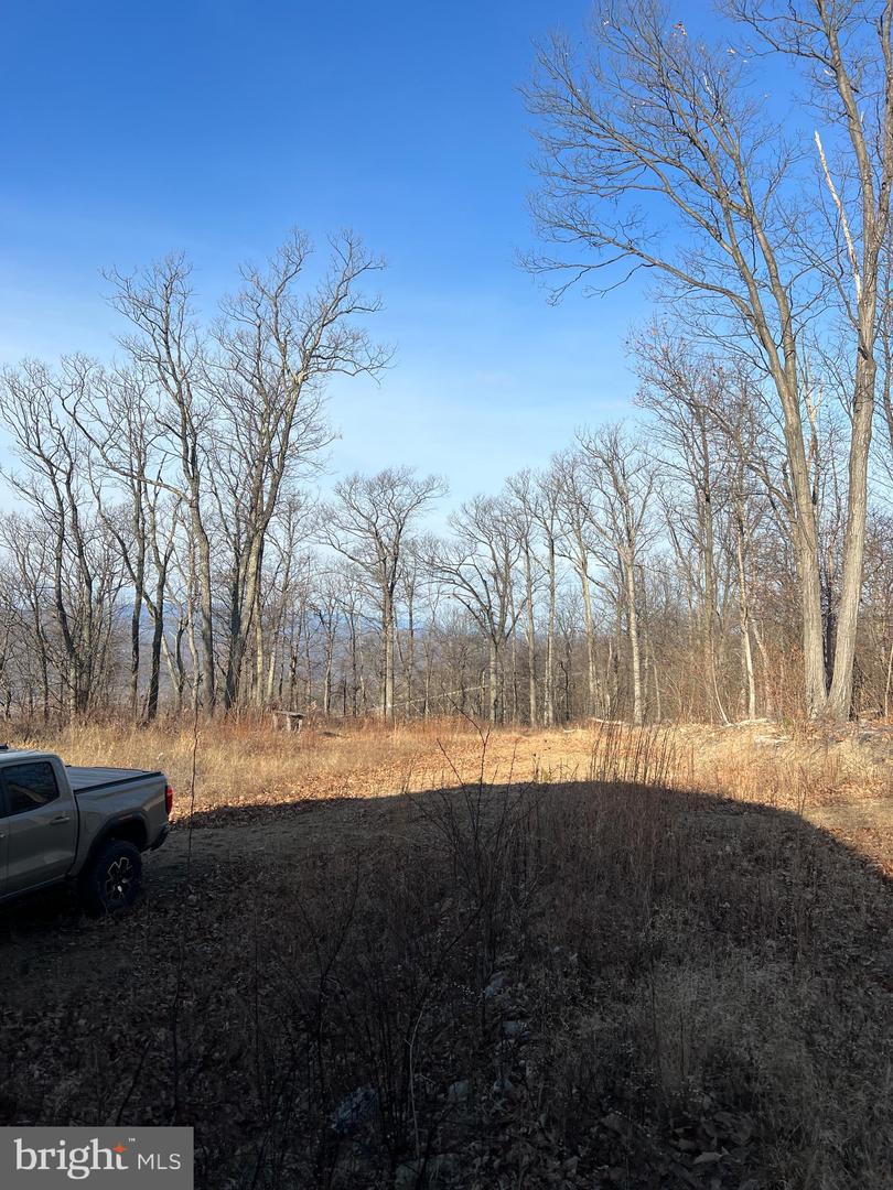 92 BOBCAT TRAIL, WINCHESTER, Virginia 22602, ,Farm,For sale,92 BOBCAT TRAIL,VAFV2038326 MLS # VAFV2038326 92 BOBCAT TRAIL, WINCHESTER, Virginia 22602, ,Farm,For sale,92 BOBCAT TRAIL,VAFV2038326 MLS # VAFV2038326