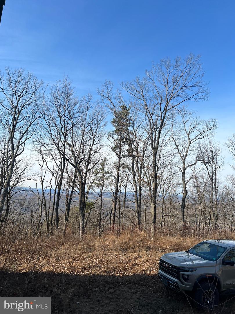 92 BOBCAT TRAIL, WINCHESTER, Virginia 22602, ,Farm,For sale,92 BOBCAT TRAIL,VAFV2038326 MLS # VAFV2038326 92 BOBCAT TRAIL, WINCHESTER, Virginia 22602, ,Farm,For sale,92 BOBCAT TRAIL,VAFV2038326 MLS # VAFV2038326