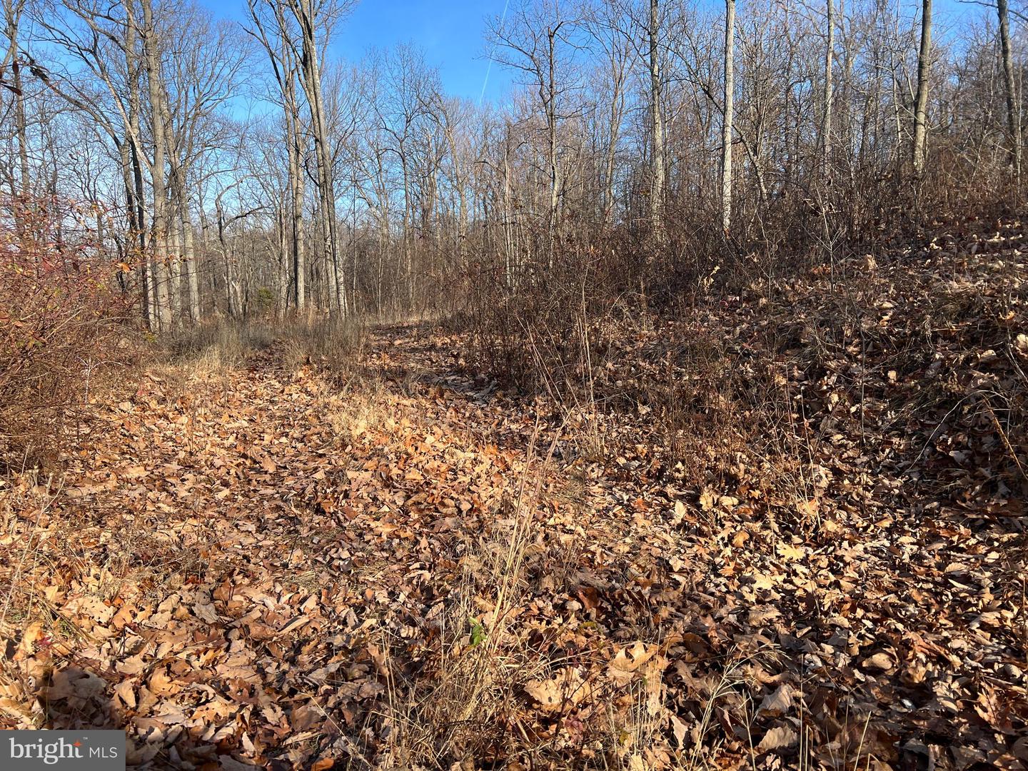 92 BOBCAT TRAIL, WINCHESTER, Virginia 22602, ,Farm,For sale,92 BOBCAT TRAIL,VAFV2038326 MLS # VAFV2038326 92 BOBCAT TRAIL, WINCHESTER, Virginia 22602, ,Farm,For sale,92 BOBCAT TRAIL,VAFV2038326 MLS # VAFV2038326