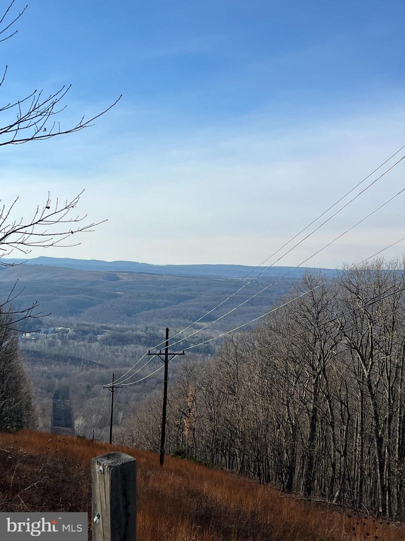 92 BOBCAT TRAIL, WINCHESTER, Virginia 22602, ,Farm,For sale,92 BOBCAT TRAIL,VAFV2038326 MLS # VAFV2038326 92 BOBCAT TRAIL, WINCHESTER, Virginia 22602, ,Farm,For sale,92 BOBCAT TRAIL,VAFV2038326 MLS # VAFV2038326