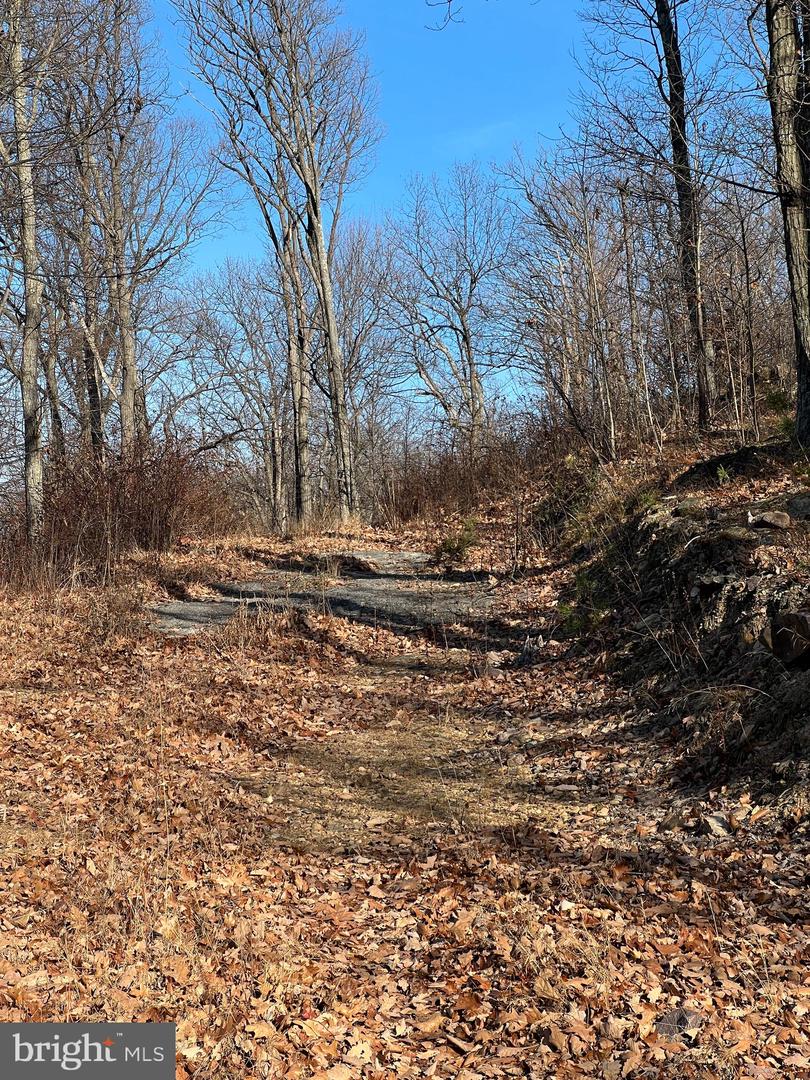 92 BOBCAT TRAIL, WINCHESTER, Virginia 22602, ,Farm,For sale,92 BOBCAT TRAIL,VAFV2038326 MLS # VAFV2038326 92 BOBCAT TRAIL, WINCHESTER, Virginia 22602, ,Farm,For sale,92 BOBCAT TRAIL,VAFV2038326 MLS # VAFV2038326