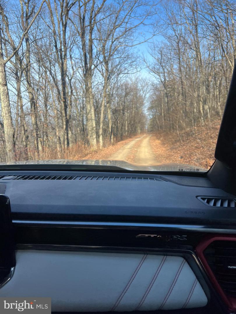 92 BOBCAT TRAIL, WINCHESTER, Virginia 22602, ,Farm,For sale,92 BOBCAT TRAIL,VAFV2038326 MLS # VAFV2038326 92 BOBCAT TRAIL, WINCHESTER, Virginia 22602, ,Farm,For sale,92 BOBCAT TRAIL,VAFV2038326 MLS # VAFV2038326