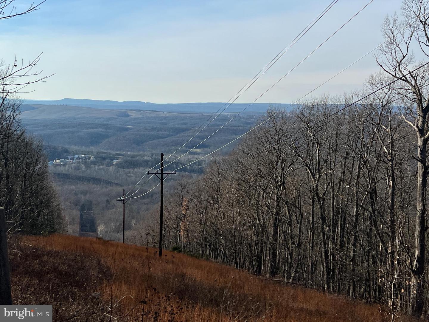92 BOBCAT TRAIL, WINCHESTER, Virginia 22602, ,Farm,For sale,92 BOBCAT TRAIL,VAFV2038326 MLS # VAFV2038326 92 BOBCAT TRAIL, WINCHESTER, Virginia 22602, ,Farm,For sale,92 BOBCAT TRAIL,VAFV2038326 MLS # VAFV2038326
