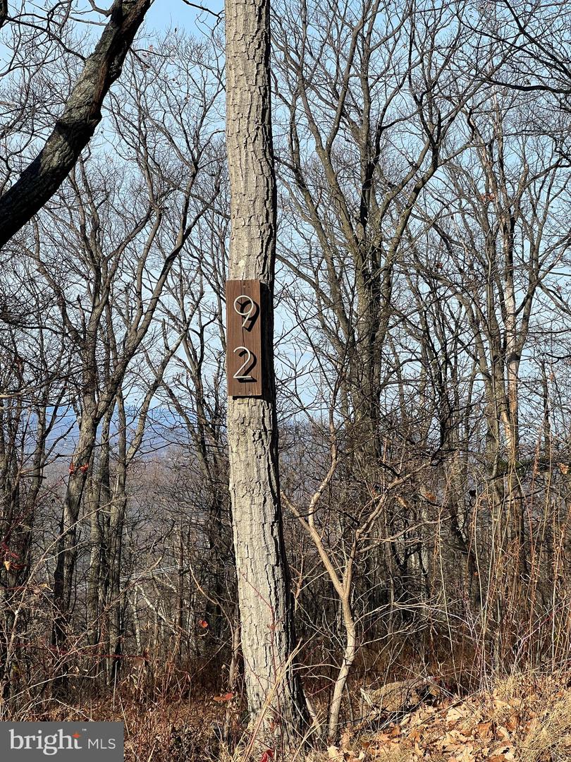 92 BOBCAT TRAIL, WINCHESTER, Virginia 22602, ,Farm,For sale,92 BOBCAT TRAIL,VAFV2038326 MLS # VAFV2038326 92 BOBCAT TRAIL, WINCHESTER, Virginia 22602, ,Farm,For sale,92 BOBCAT TRAIL,VAFV2038326 MLS # VAFV2038326