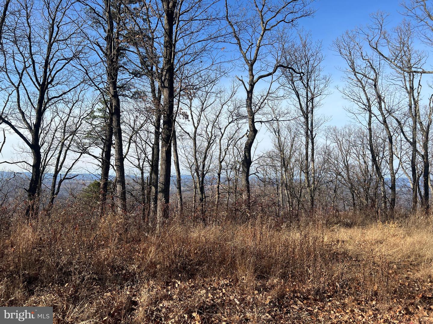 92 BOBCAT TRAIL, WINCHESTER, Virginia 22602, ,Farm,For sale,92 BOBCAT TRAIL,VAFV2038326 MLS # VAFV2038326 92 BOBCAT TRAIL, WINCHESTER, Virginia 22602, ,Farm,For sale,92 BOBCAT TRAIL,VAFV2038326 MLS # VAFV2038326