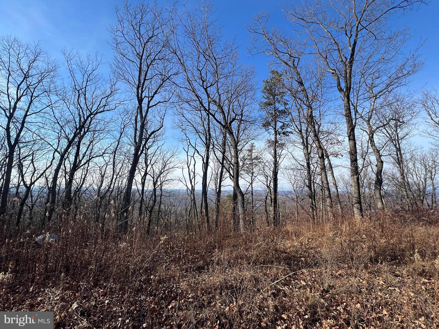 92 BOBCAT TRAIL, WINCHESTER, Virginia 22602, ,Farm,For sale,92 BOBCAT TRAIL,VAFV2038326 MLS # VAFV2038326 92 BOBCAT TRAIL, WINCHESTER, Virginia 22602, ,Farm,For sale,92 BOBCAT TRAIL,VAFV2038326 MLS # VAFV2038326