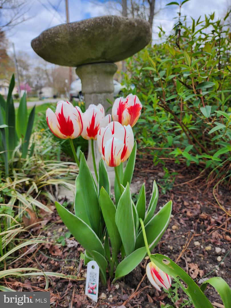 118 7TH ST, COLONIAL BEACH, Virginia 22443, 3 Bedrooms Bedrooms, ,2 BathroomsBathrooms,Residential,For sale,118 7TH ST,VAWE2009822 MLS # VAWE2009822