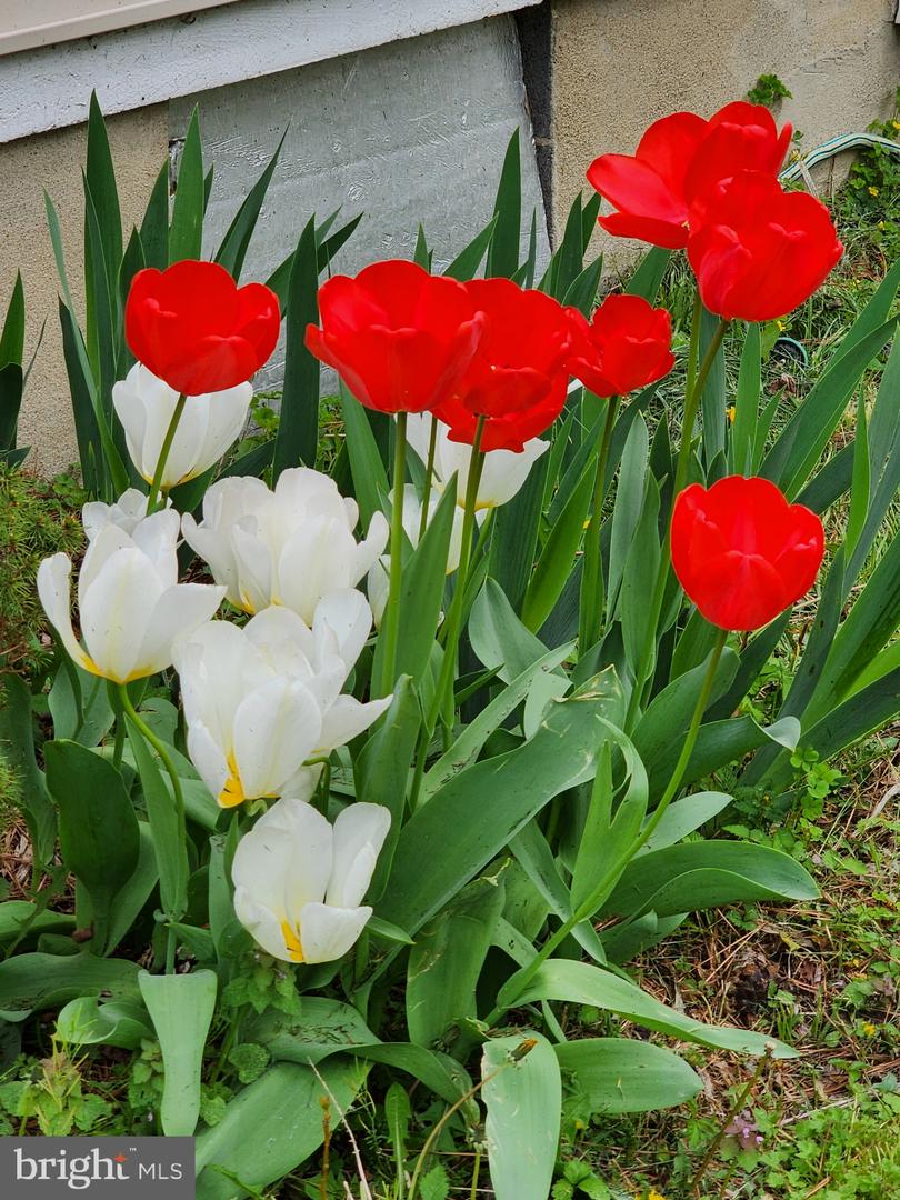 118 7TH ST, COLONIAL BEACH, Virginia 22443, 3 Bedrooms Bedrooms, ,2 BathroomsBathrooms,Residential,For sale,118 7TH ST,VAWE2009822 MLS # VAWE2009822