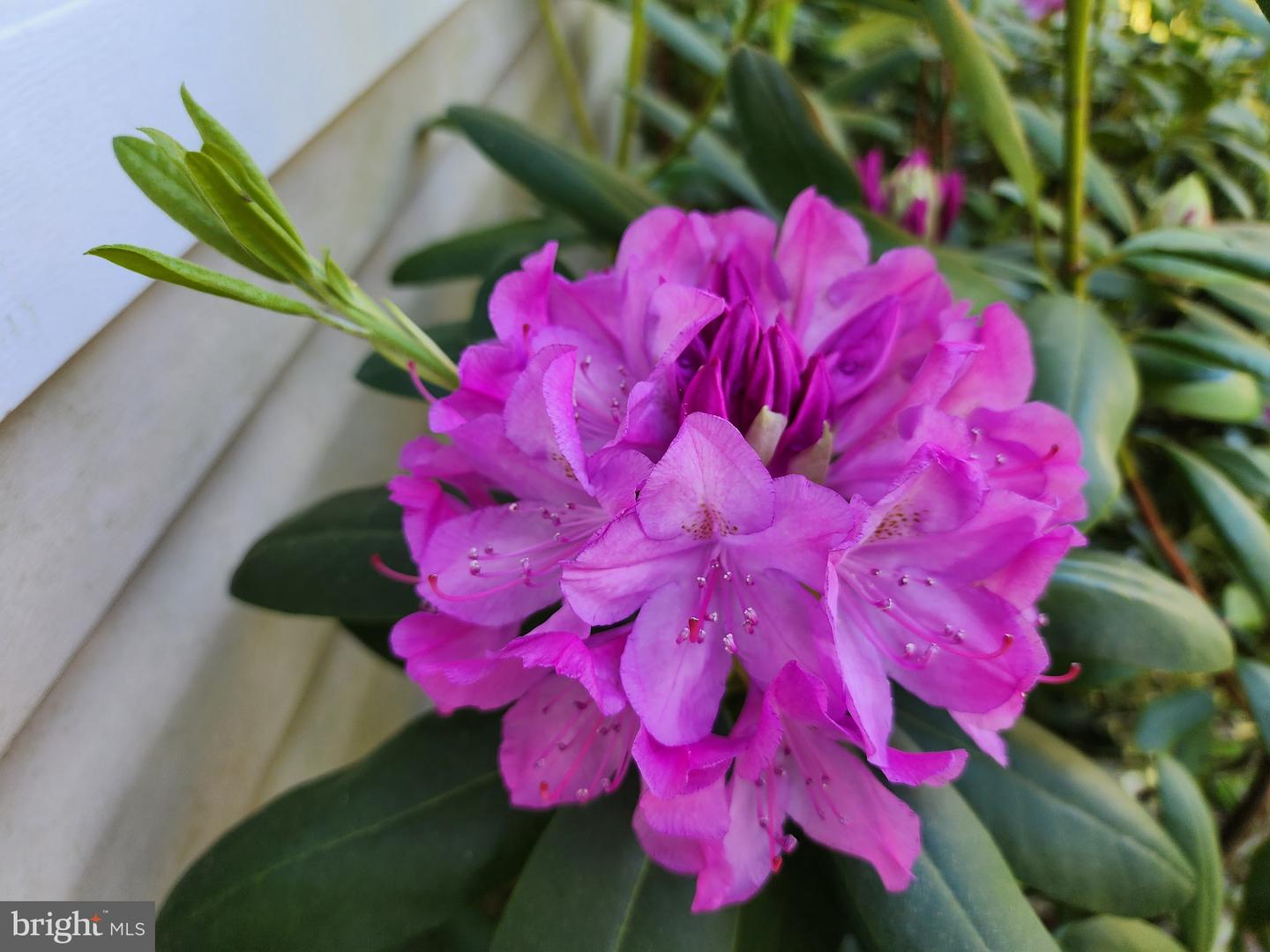 118 7TH ST, COLONIAL BEACH, Virginia 22443, 3 Bedrooms Bedrooms, ,2 BathroomsBathrooms,Residential,For sale,118 7TH ST,VAWE2009822 MLS # VAWE2009822