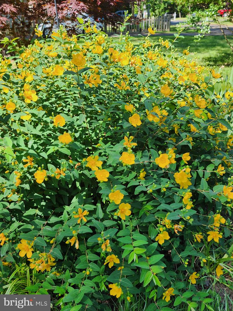 118 7TH ST, COLONIAL BEACH, Virginia 22443, 3 Bedrooms Bedrooms, ,2 BathroomsBathrooms,Residential,For sale,118 7TH ST,VAWE2009822 MLS # VAWE2009822