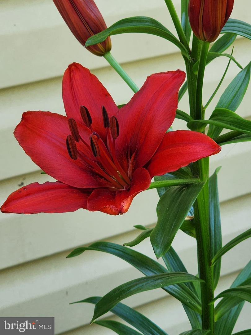 118 7TH ST, COLONIAL BEACH, Virginia 22443, 3 Bedrooms Bedrooms, ,2 BathroomsBathrooms,Residential,For sale,118 7TH ST,VAWE2009822 MLS # VAWE2009822