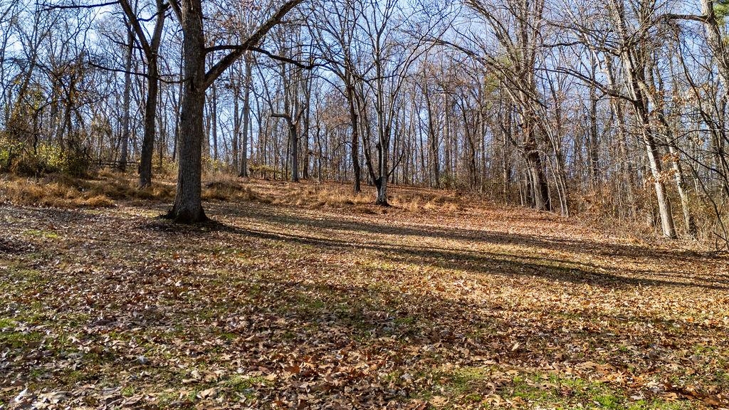 115 OLD HERMITAGE RD, WAYNESBORO, Virginia 22980, 3 Bedrooms Bedrooms, ,2 BathroomsBathrooms,Residential,115 OLD HERMITAGE RD,671633 MLS # 671633