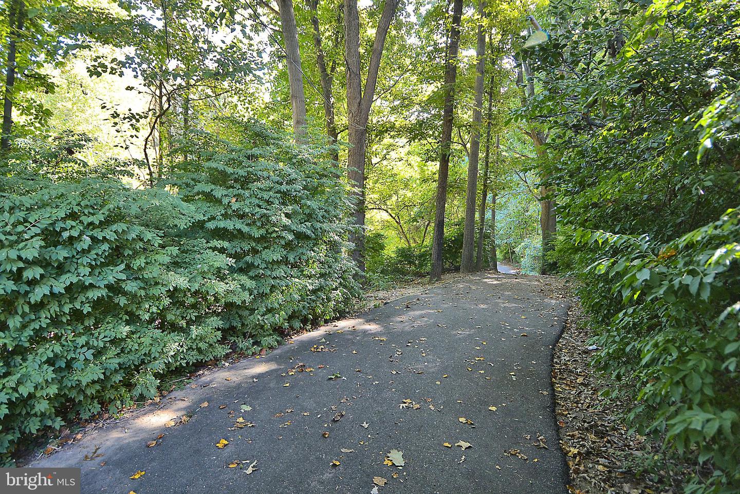 4333 AMERICANA DR #203, ANNANDALE, Virginia 22003, 2 Bedrooms Bedrooms, ,1 BathroomBathrooms,Residential,For sale,4333 AMERICANA DR #203,VAFX2281478 MLS # VAFX2281478