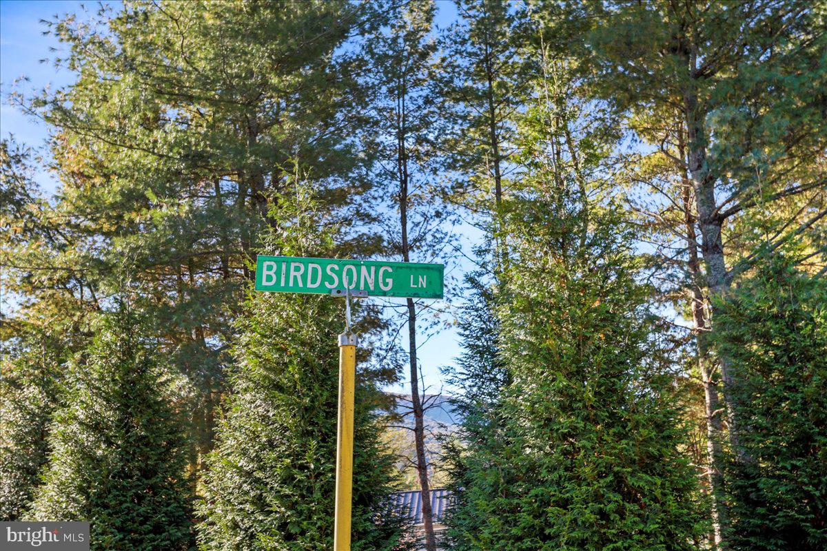 40 BIRDSONG LN, EDINBURG, Virginia 22824, 4 Bedrooms Bedrooms, 9 Rooms Rooms,3 BathroomsBathrooms,Residential,For sale,40 BIRDSONG LN,VASH2013138 MLS # VASH2013138