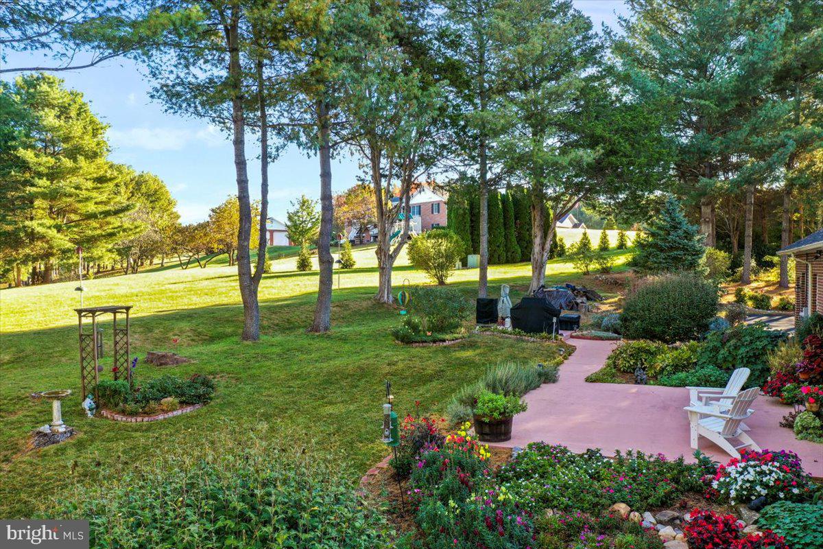 40 BIRDSONG LN, EDINBURG, Virginia 22824, 4 Bedrooms Bedrooms, 9 Rooms Rooms,3 BathroomsBathrooms,Residential,For sale,40 BIRDSONG LN,VASH2013138 MLS # VASH2013138