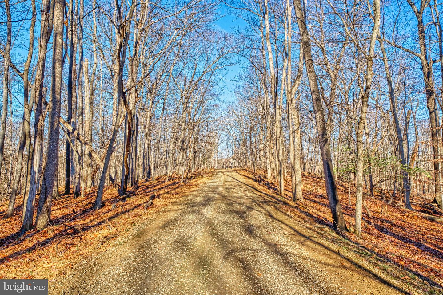 222 BARRED OWL LN, BOYCE, Virginia 22620, 4 Bedrooms Bedrooms, ,3 BathroomsBathrooms,Residential,For sale,222 BARRED OWL LN,VACL2006258 MLS # VACL2006258 222 BARRED OWL LN, BOYCE, Virginia 22620, 4 Bedrooms Bedrooms, ,3 BathroomsBathrooms,Residential,For sale,222 BARRED OWL LN,VACL2006258 MLS # VACL2006258