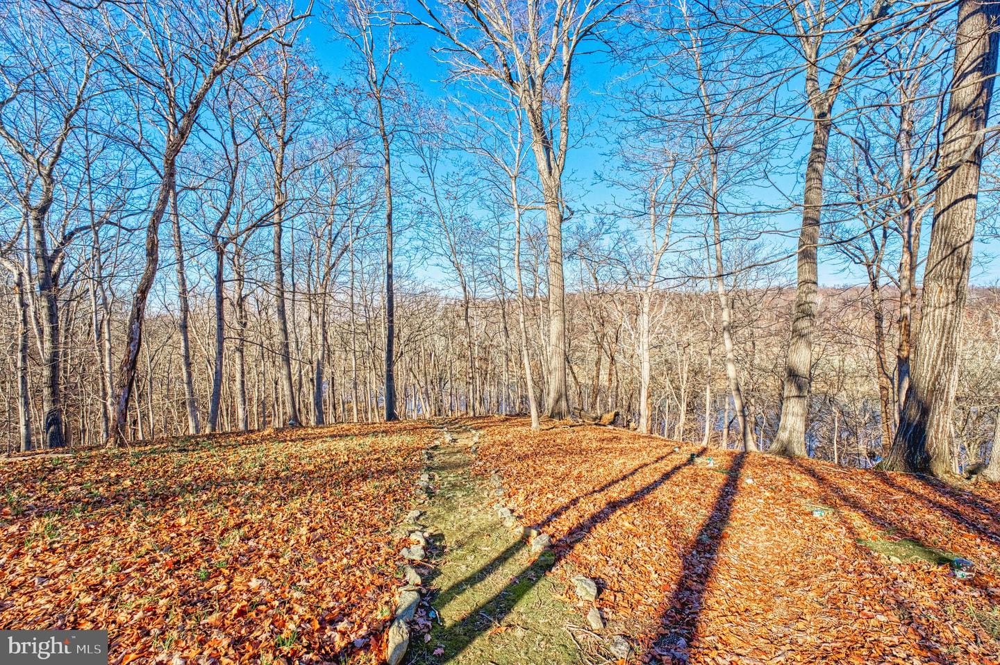 222 BARRED OWL LN, BOYCE, Virginia 22620, 4 Bedrooms Bedrooms, ,3 BathroomsBathrooms,Residential,For sale,222 BARRED OWL LN,VACL2006258 MLS # VACL2006258 222 BARRED OWL LN, BOYCE, Virginia 22620, 4 Bedrooms Bedrooms, ,3 BathroomsBathrooms,Residential,For sale,222 BARRED OWL LN,VACL2006258 MLS # VACL2006258