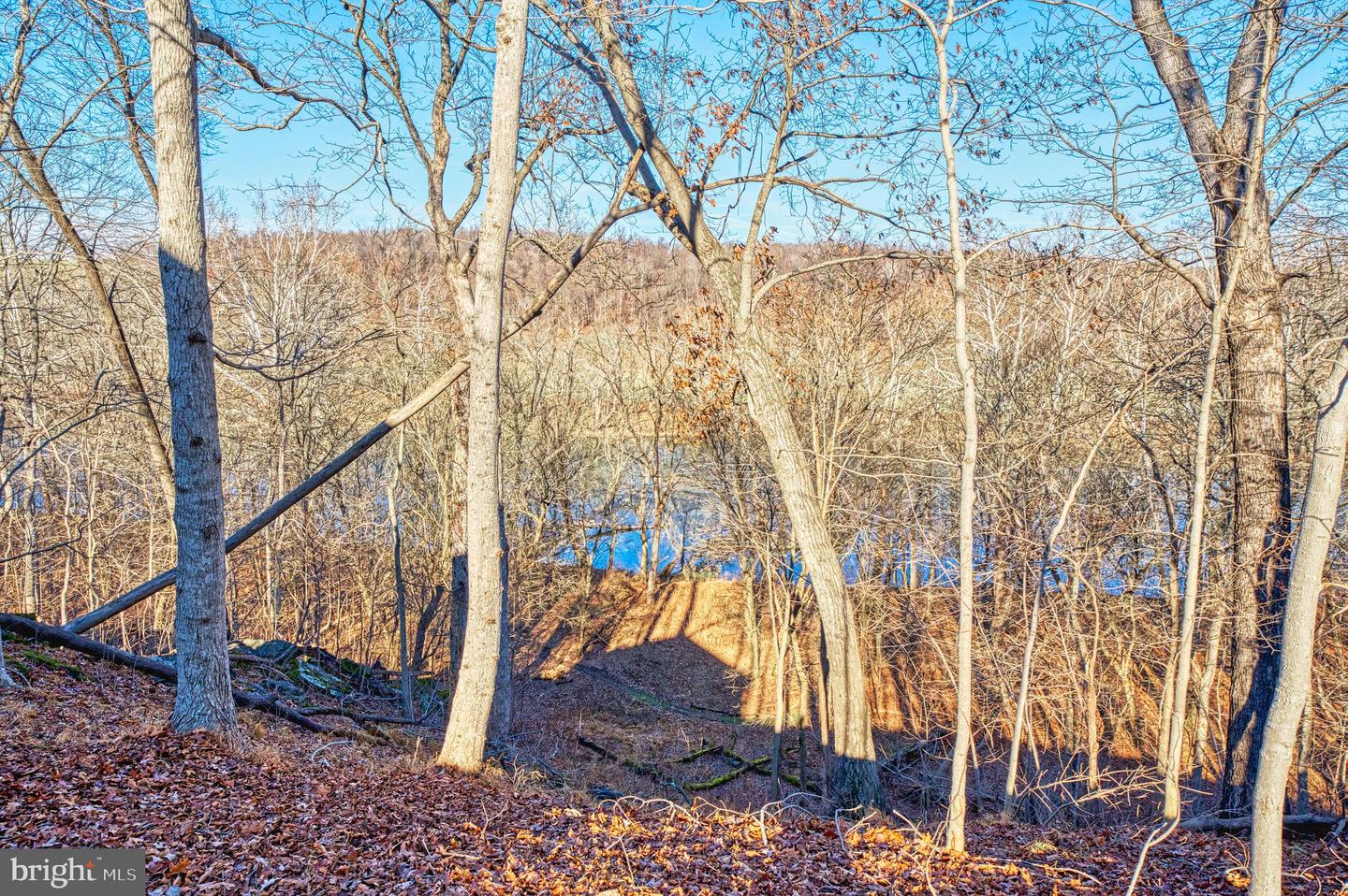 222 BARRED OWL LN, BOYCE, Virginia 22620, 4 Bedrooms Bedrooms, ,3 BathroomsBathrooms,Residential,For sale,222 BARRED OWL LN,VACL2006258 MLS # VACL2006258 222 BARRED OWL LN, BOYCE, Virginia 22620, 4 Bedrooms Bedrooms, ,3 BathroomsBathrooms,Residential,For sale,222 BARRED OWL LN,VACL2006258 MLS # VACL2006258