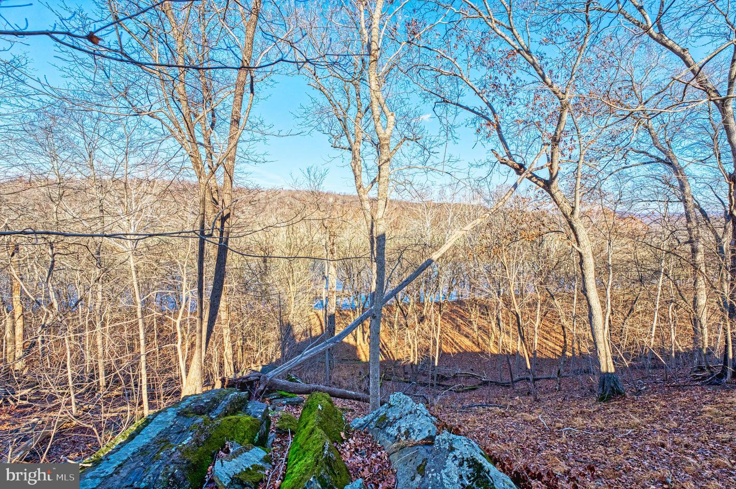 222 BARRED OWL LN, BOYCE, Virginia 22620, 4 Bedrooms Bedrooms, ,3 BathroomsBathrooms,Residential,For sale,222 BARRED OWL LN,VACL2006258 MLS # VACL2006258 222 BARRED OWL LN, BOYCE, Virginia 22620, 4 Bedrooms Bedrooms, ,3 BathroomsBathrooms,Residential,For sale,222 BARRED OWL LN,VACL2006258 MLS # VACL2006258