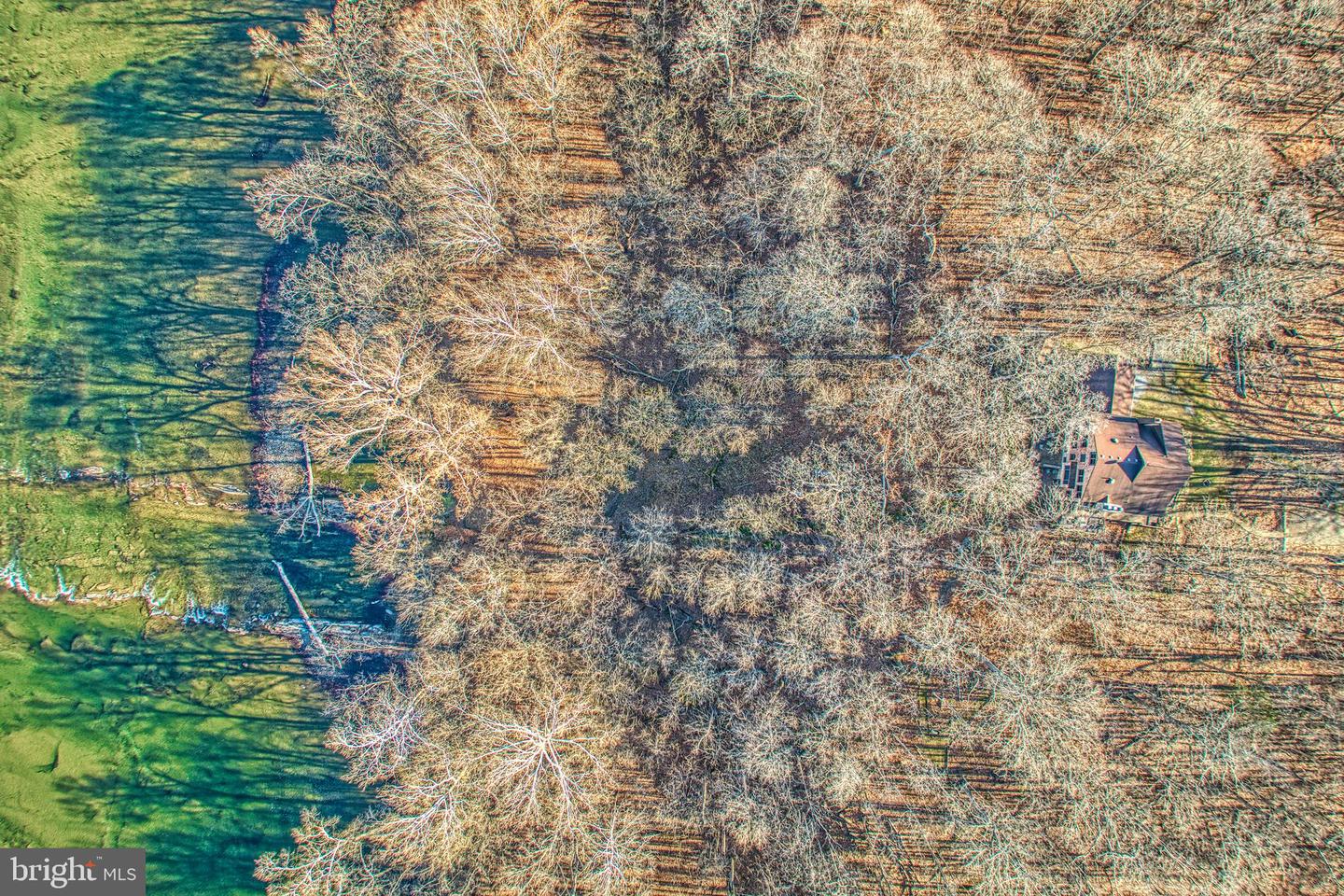 222 BARRED OWL LN, BOYCE, Virginia 22620, 4 Bedrooms Bedrooms, ,3 BathroomsBathrooms,Residential,For sale,222 BARRED OWL LN,VACL2006258 MLS # VACL2006258 222 BARRED OWL LN, BOYCE, Virginia 22620, 4 Bedrooms Bedrooms, ,3 BathroomsBathrooms,Residential,For sale,222 BARRED OWL LN,VACL2006258 MLS # VACL2006258