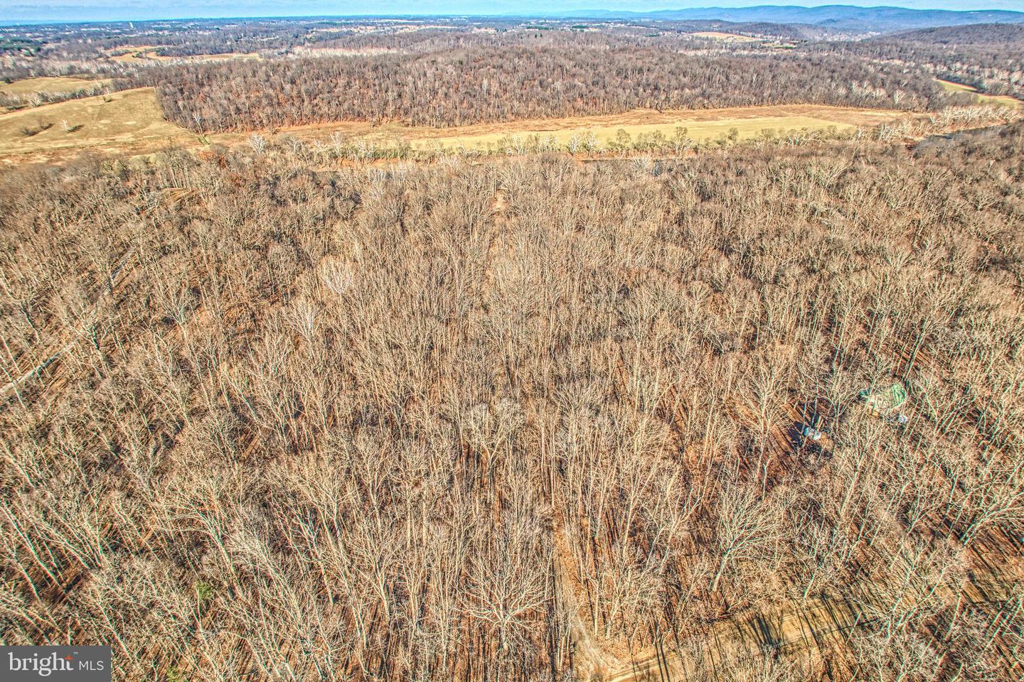 222 BARRED OWL LN, BOYCE, Virginia 22620, 4 Bedrooms Bedrooms, ,3 BathroomsBathrooms,Residential,For sale,222 BARRED OWL LN,VACL2006258 MLS # VACL2006258 222 BARRED OWL LN, BOYCE, Virginia 22620, 4 Bedrooms Bedrooms, ,3 BathroomsBathrooms,Residential,For sale,222 BARRED OWL LN,VACL2006258 MLS # VACL2006258