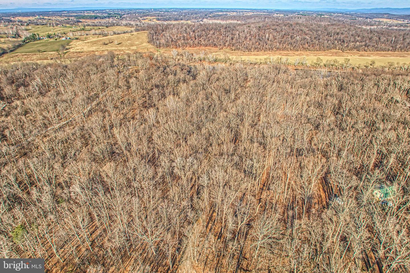 222 BARRED OWL LN, BOYCE, Virginia 22620, 4 Bedrooms Bedrooms, ,3 BathroomsBathrooms,Residential,For sale,222 BARRED OWL LN,VACL2006258 MLS # VACL2006258 222 BARRED OWL LN, BOYCE, Virginia 22620, 4 Bedrooms Bedrooms, ,3 BathroomsBathrooms,Residential,For sale,222 BARRED OWL LN,VACL2006258 MLS # VACL2006258