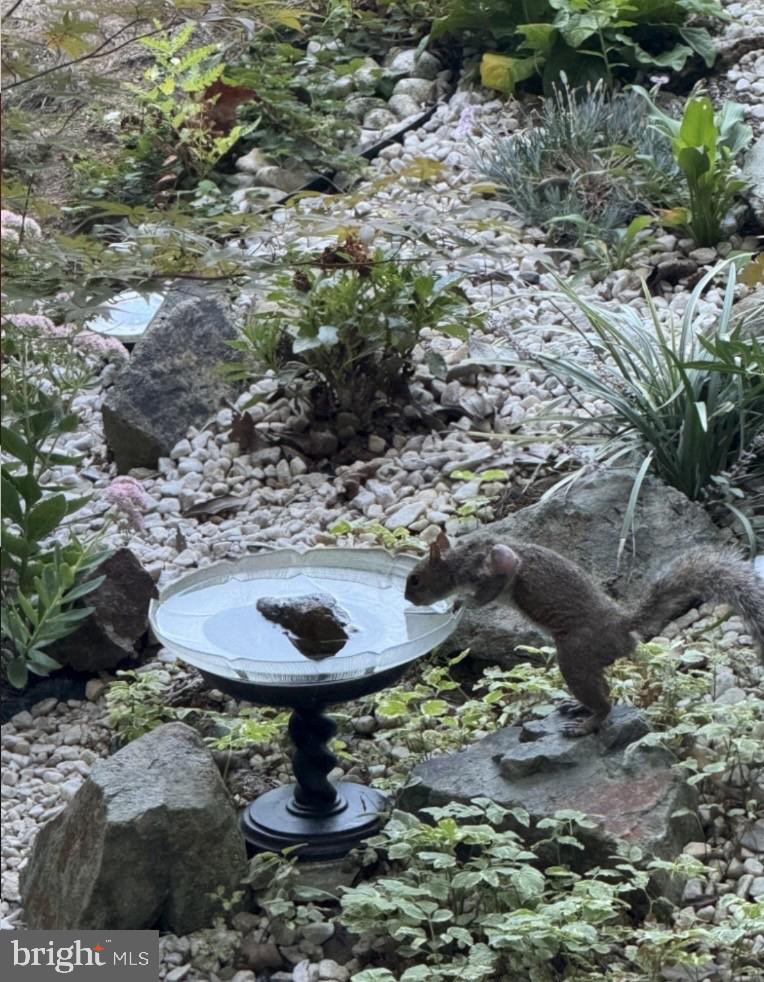 5724 HARRIER DR, CLIFTON, Virginia 20124, 2 Bedrooms Bedrooms, ,3 BathroomsBathrooms,Residential,For sale,5724 HARRIER DR,VAFX2281506 MLS # VAFX2281506