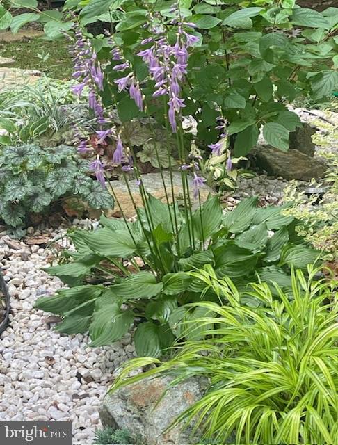 5724 HARRIER DR, CLIFTON, Virginia 20124, 2 Bedrooms Bedrooms, ,3 BathroomsBathrooms,Residential,For sale,5724 HARRIER DR,VAFX2281506 MLS # VAFX2281506