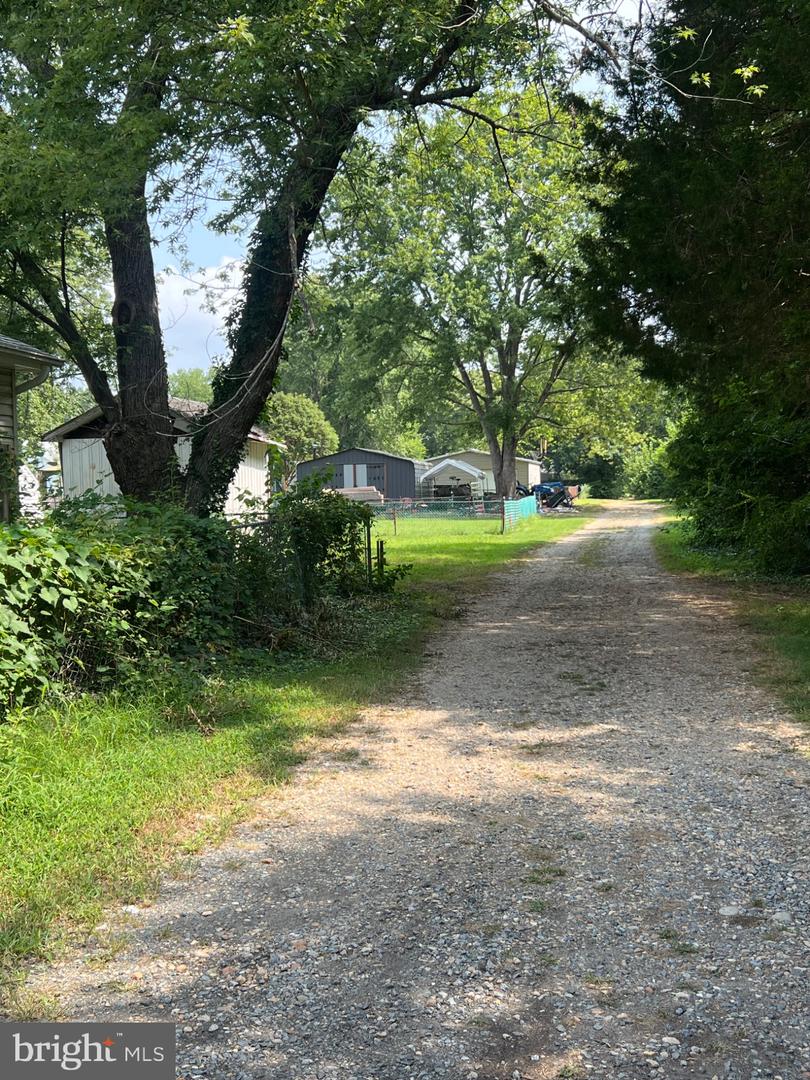 222 MIMOSA AVE, COLONIAL BEACH, Virginia 22443, 3 Bedrooms Bedrooms, 7 Rooms Rooms,1 BathroomBathrooms,Residential,For sale,222 MIMOSA AVE,VAWE2008502 MLS # VAWE2008502