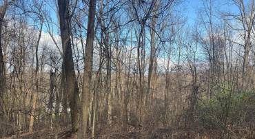 LOT 22 HICKORY TREE RD, FRONT ROYAL, Virginia 22630, ,Land,For sale,LOT 22 HICKORY TREE RD,VAWR2012906 MLS # VAWR2012906