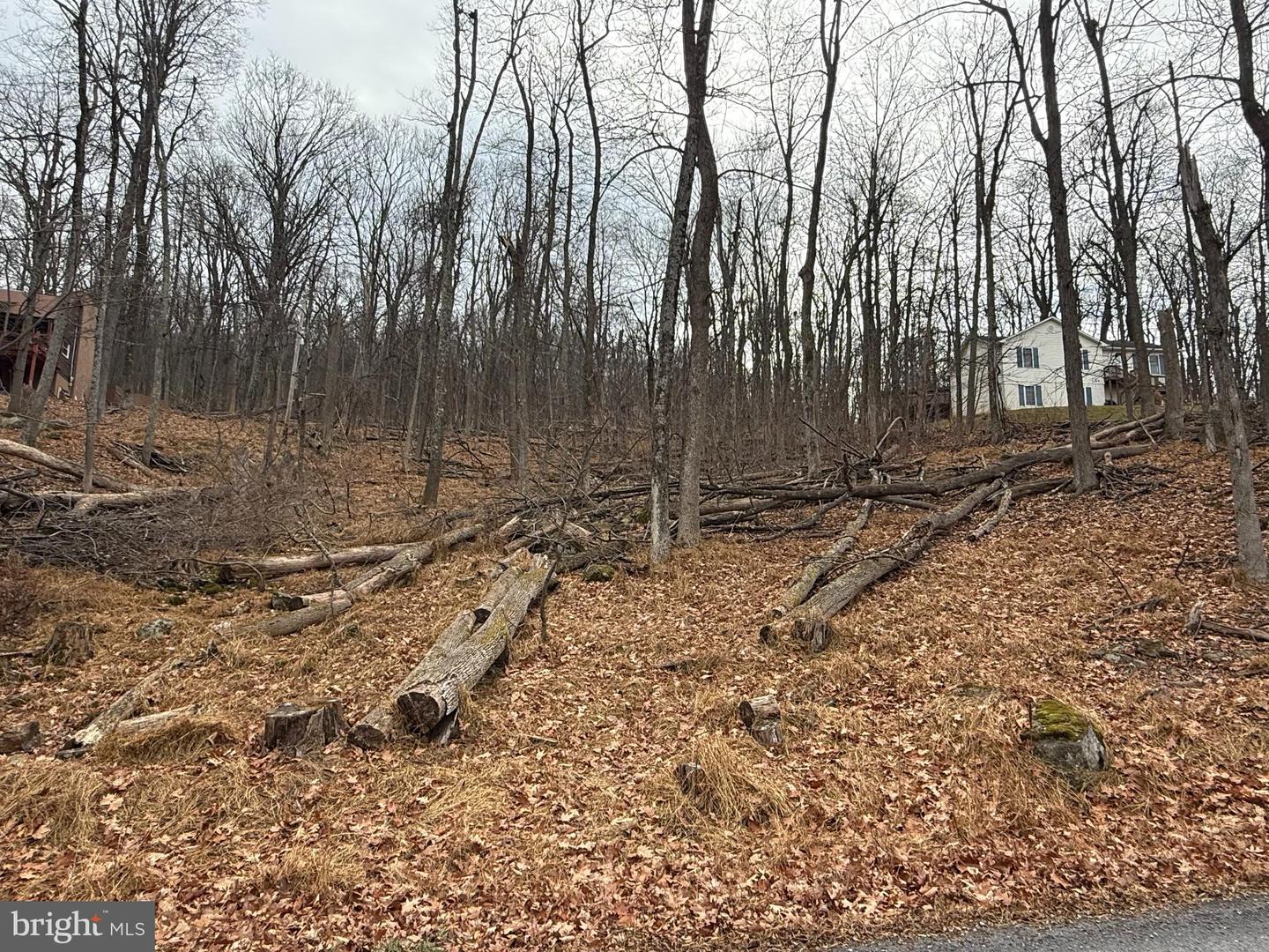 LOT 5 DEER TRAIL RD, FRONT ROYAL, Virginia 22630, ,Land,For sale,LOT 5 DEER TRAIL RD,VAWR2012908 MLS # VAWR2012908 LOT 5 DEER TRAIL RD, FRONT ROYAL, Virginia 22630, ,Land,For sale,LOT 5 DEER TRAIL RD,VAWR2012908 MLS # VAWR2012908