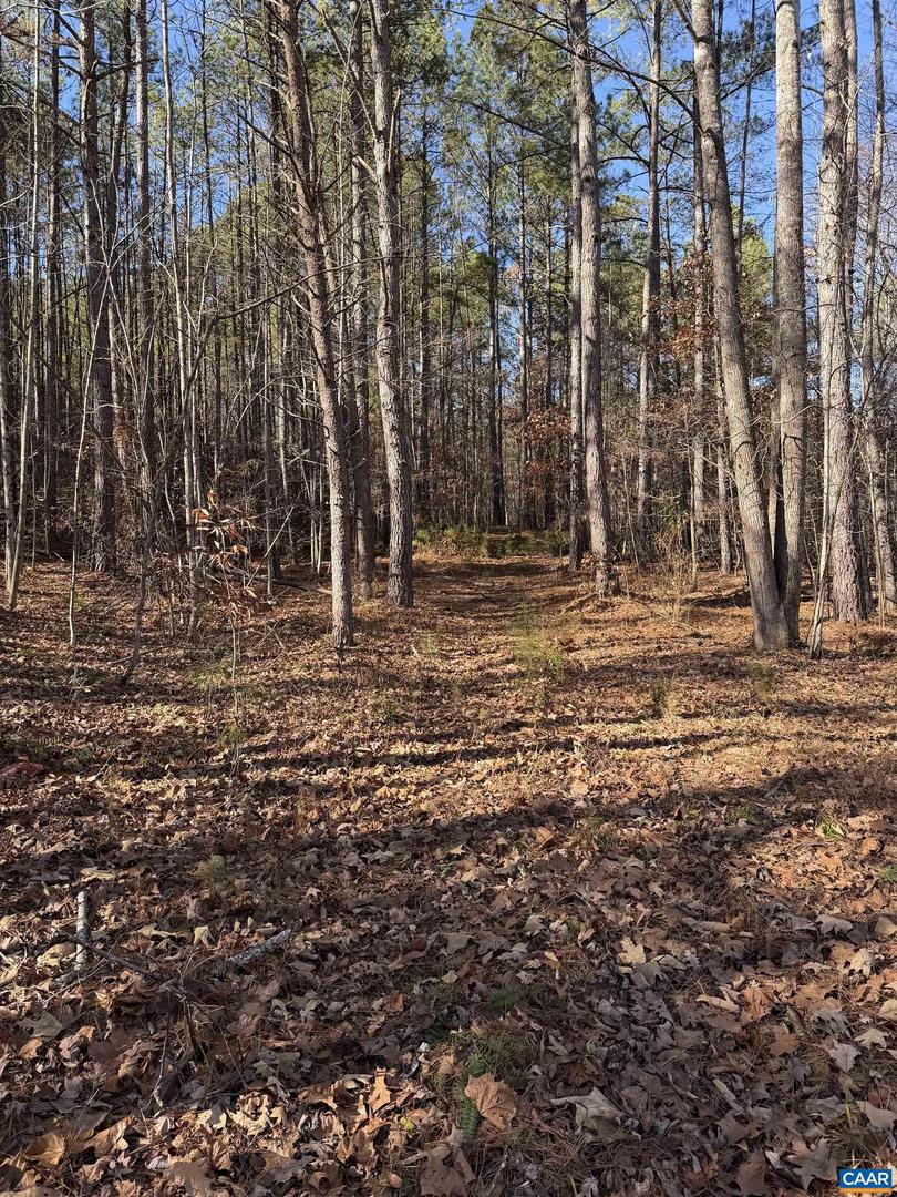 TBD UNION HILL DR, WINGINA, Virginia 24599, ,Land,For sale,TBD UNION HILL DR,671649 MLS # 671649 TBD UNION HILL DR, WINGINA, Virginia 24599, ,Land,For sale,TBD UNION HILL DR,671649 MLS # 671649