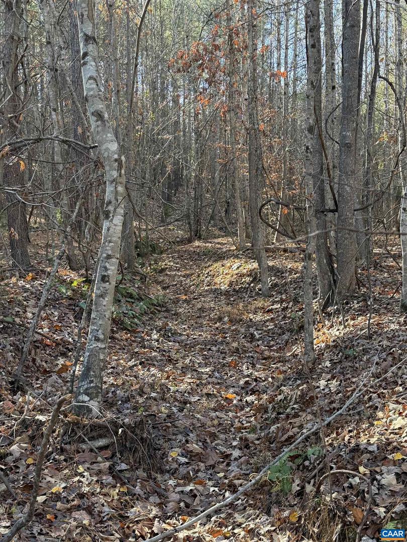 TBD UNION HILL DR, WINGINA, Virginia 24599, ,Land,For sale,TBD UNION HILL DR,671649 MLS # 671649