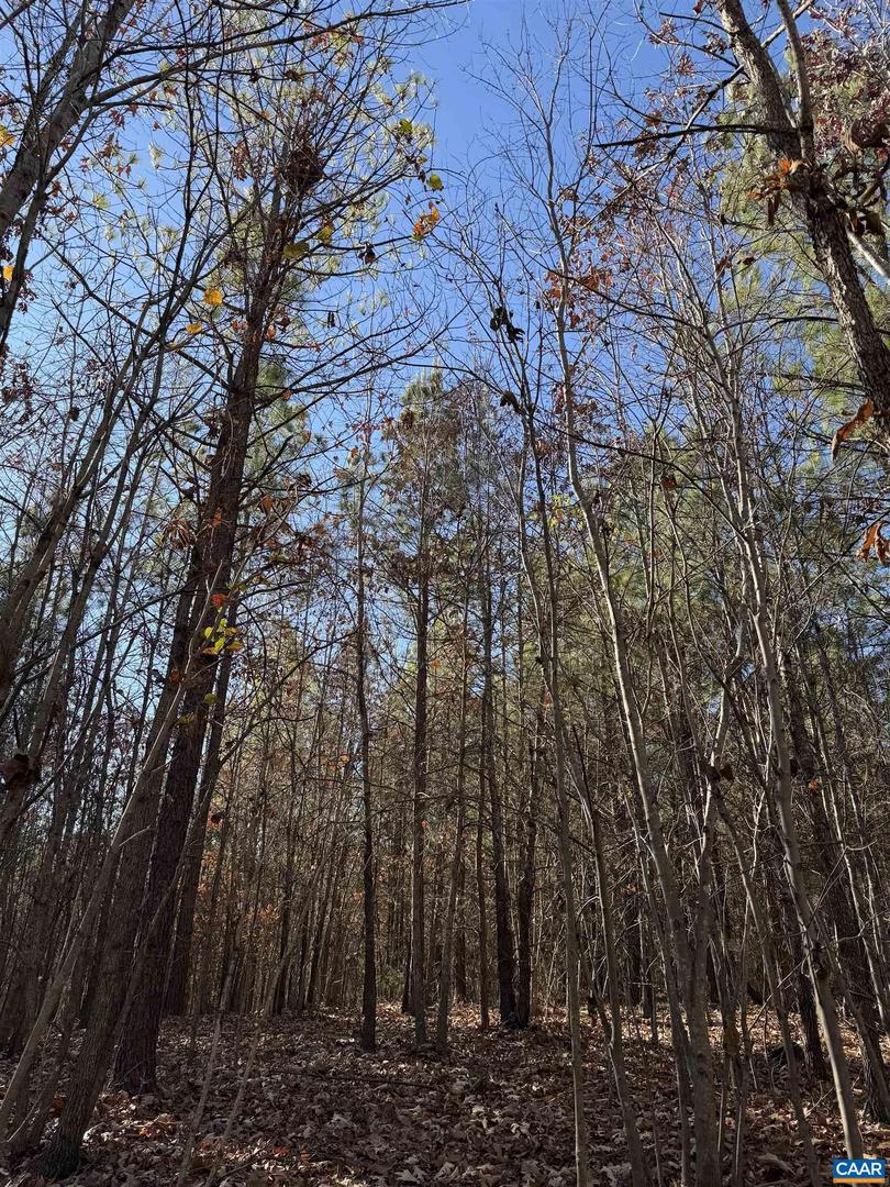 TBD UNION HILL DR, WINGINA, Virginia 24599, ,Land,For sale,TBD UNION HILL DR,671649 MLS # 671649 TBD UNION HILL DR, WINGINA, Virginia 24599, ,Land,For sale,TBD UNION HILL DR,671649 MLS # 671649