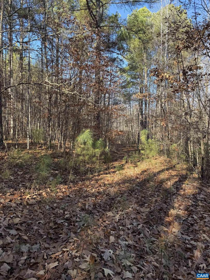 TBD UNION HILL DR, WINGINA, Virginia 24599, ,Land,For sale,TBD UNION HILL DR,671649 MLS # 671649 TBD UNION HILL DR, WINGINA, Virginia 24599, ,Land,For sale,TBD UNION HILL DR,671649 MLS # 671649