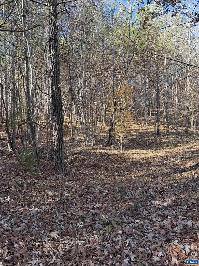 TBD UNION HILL DR, WINGINA, Virginia 24599, ,Land,For sale,TBD UNION HILL DR,671649 MLS # 671649 TBD UNION HILL DR, WINGINA, Virginia 24599, ,Land,For sale,TBD UNION HILL DR,671649 MLS # 671649