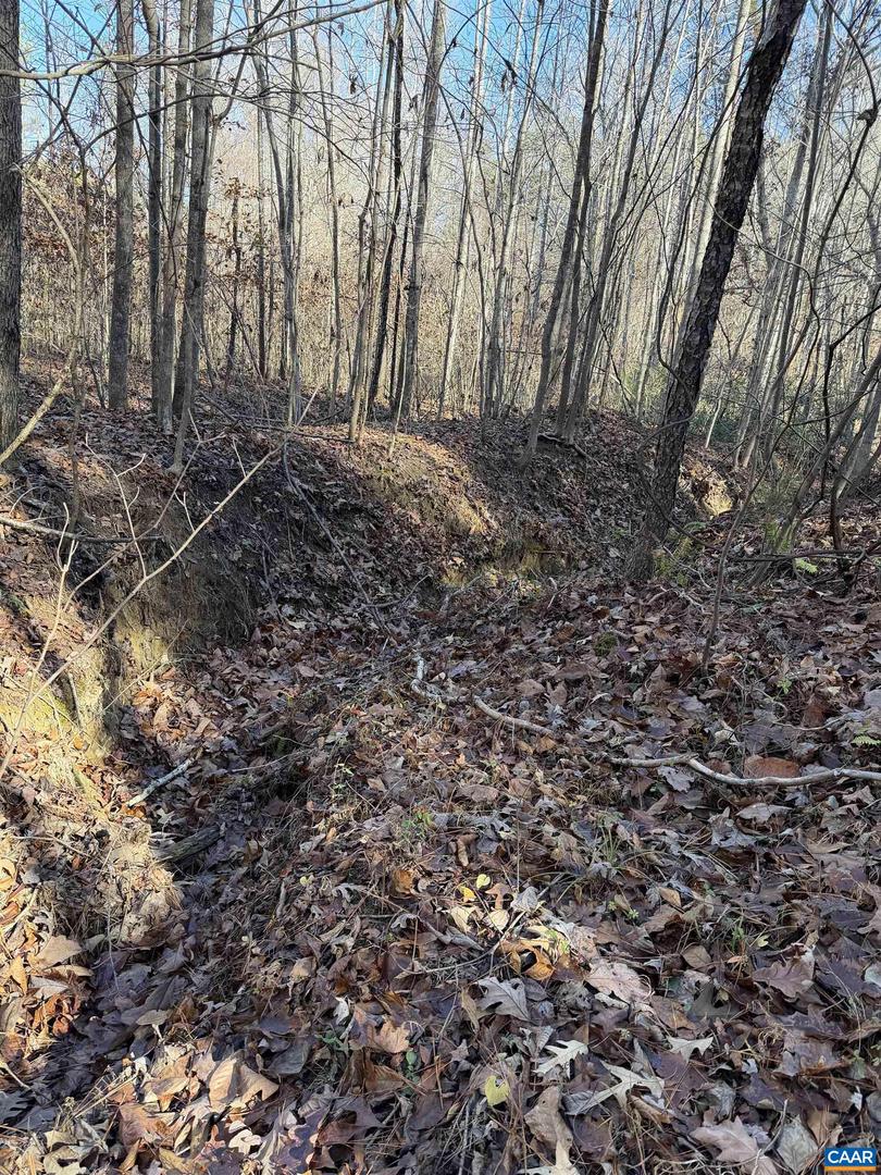 TBD UNION HILL DR, WINGINA, Virginia 24599, ,Land,For sale,TBD UNION HILL DR,671649 MLS # 671649 TBD UNION HILL DR, WINGINA, Virginia 24599, ,Land,For sale,TBD UNION HILL DR,671649 MLS # 671649