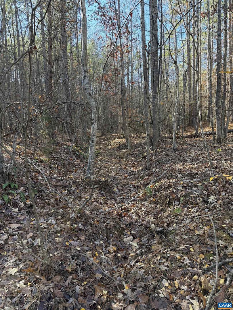 TBD UNION HILL DR, WINGINA, Virginia 24599, ,Land,For sale,TBD UNION HILL DR,671649 MLS # 671649 TBD UNION HILL DR, WINGINA, Virginia 24599, ,Land,For sale,TBD UNION HILL DR,671649 MLS # 671649