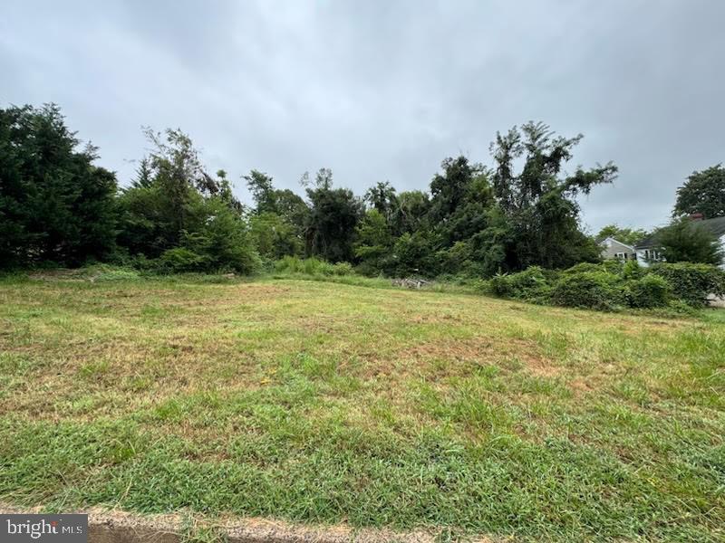S ALMOND ST, ORANGE, Virginia 22960, ,Land,For sale,S ALMOND ST,VAOR2012910 MLS # VAOR2012910 S ALMOND ST, ORANGE, Virginia 22960, ,Land,For sale,S ALMOND ST,VAOR2012910 MLS # VAOR2012910
