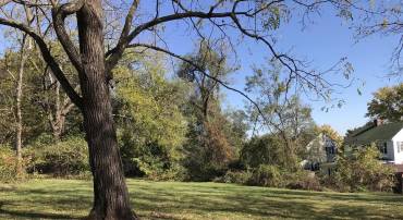 S ALMOND ST, ORANGE, Virginia 22960, ,Land,For sale,S ALMOND ST,VAOR2012910 MLS # VAOR2012910