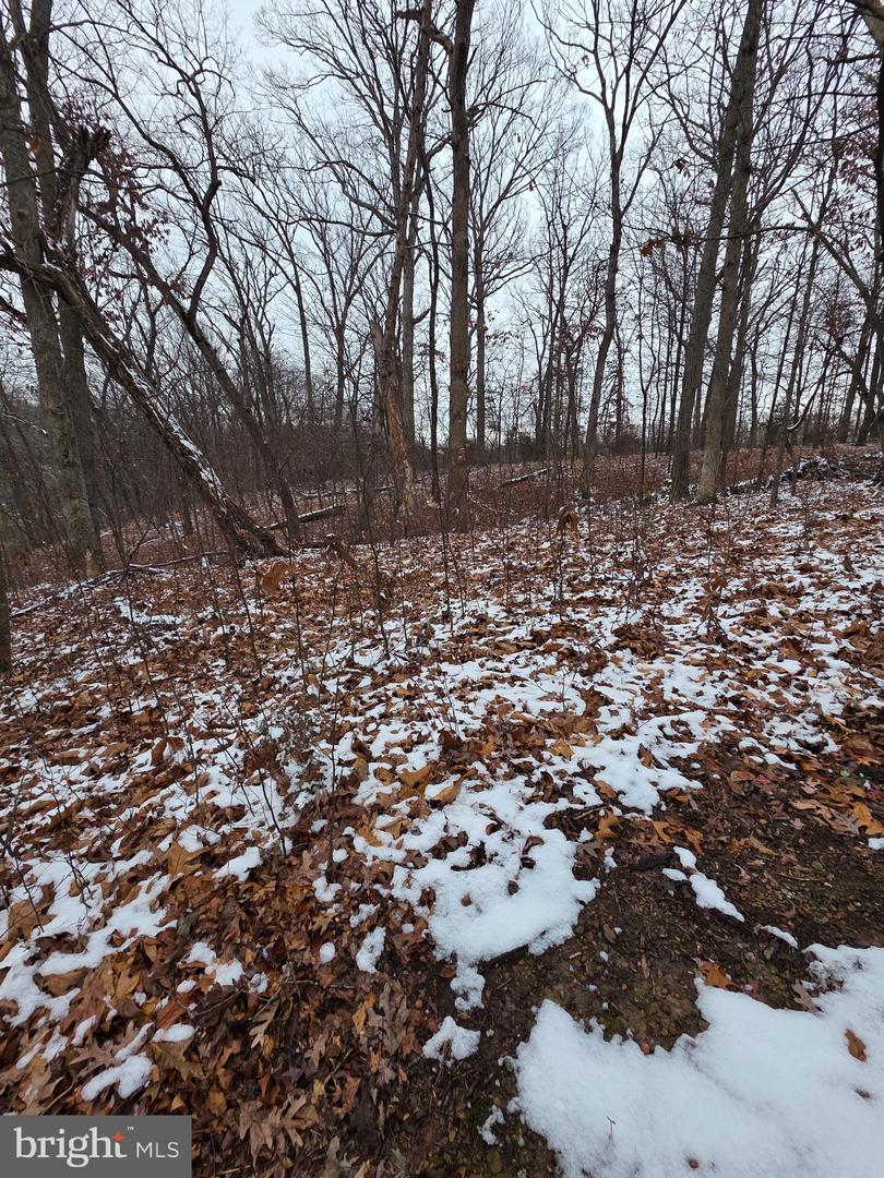 HUTTLE, MIDDLETOWN, Virginia 22645, ,Land,For sale,HUTTLE,VAFV2038332 MLS # VAFV2038332