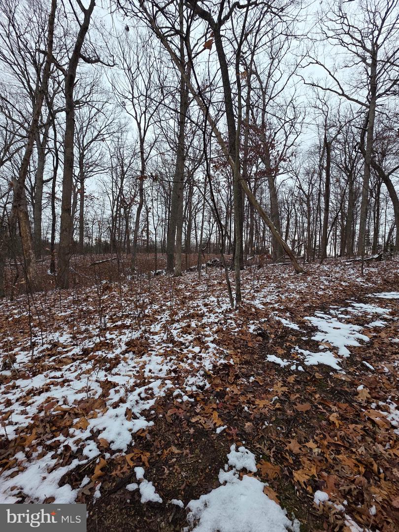 HUTTLE, MIDDLETOWN, Virginia 22645, ,Land,For sale,HUTTLE,VAFV2038332 MLS # VAFV2038332