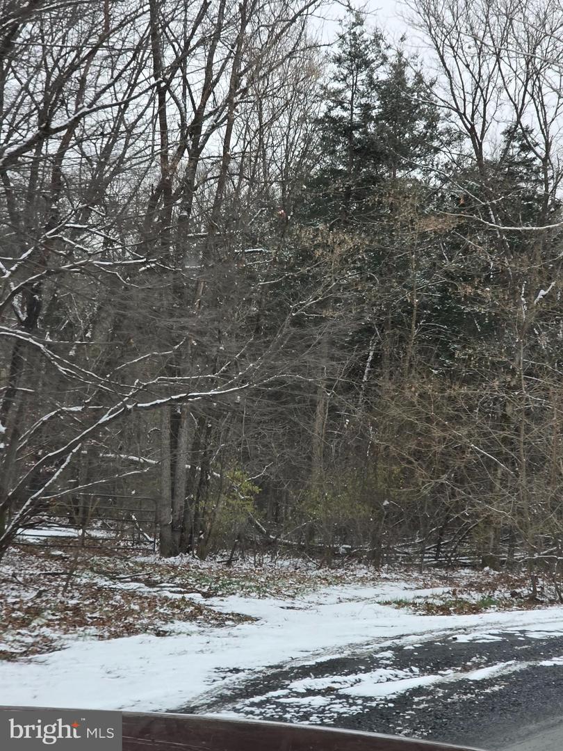 HUTTLE, MIDDLETOWN, Virginia 22645, ,Land,For sale,HUTTLE,VAFV2038332 MLS # VAFV2038332